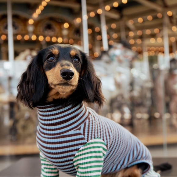 Meet your Posher, Chelsea & Brooklyn - Picture 3 of 6